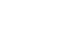 Southern Tech Logo weiß